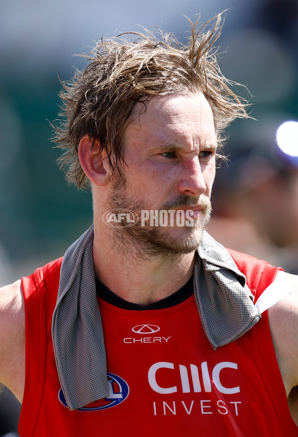 AFL 2025 Match Simulation - Carlton v St Kilda - A-57551860