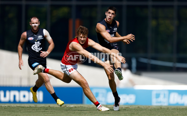 AFL 2025 Match Simulation - Carlton v St Kilda - A-57551862