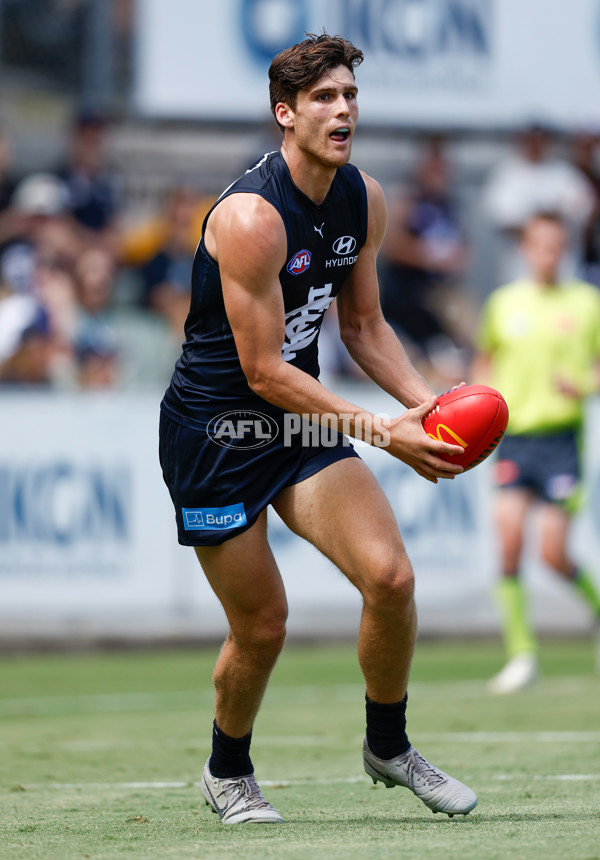 AFL 2025 Match Simulation - Carlton v St Kilda - A-57551867