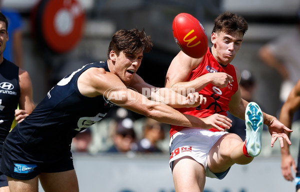 AFL 2025 Match Simulation - Carlton v St Kilda - A-57551868