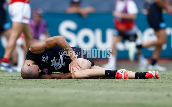 AFL 2025 Match Simulation - Carlton v St Kilda - A-57551874