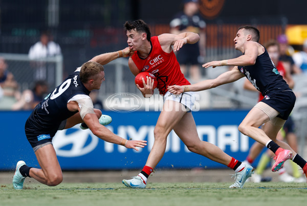 AFL 2025 Match Simulation - Carlton v St Kilda - A-57551879