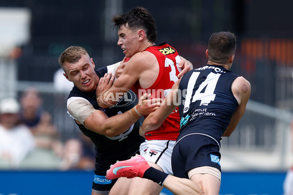 AFL 2025 Match Simulation - Carlton v St Kilda - A-57551883