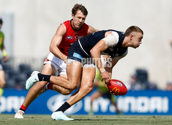 AFL 2025 Match Simulation - Carlton v St Kilda - A-57551888