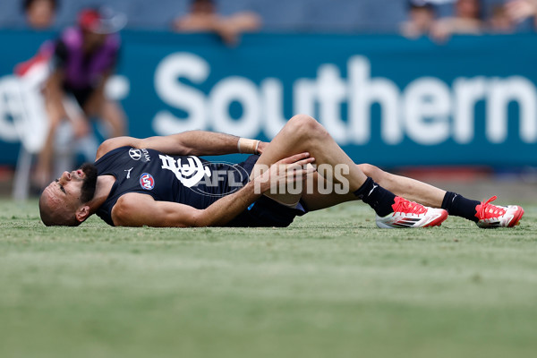 AFL 2025 Match Simulation - Carlton v St Kilda - A-57551889