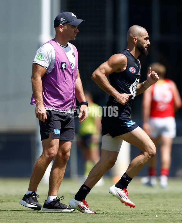 AFL 2025 Match Simulation - Carlton v St Kilda - A-57551891