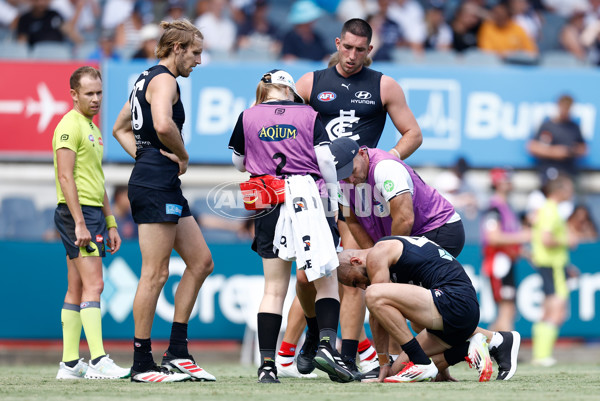 AFL 2025 Match Simulation - Carlton v St Kilda - A-57551895