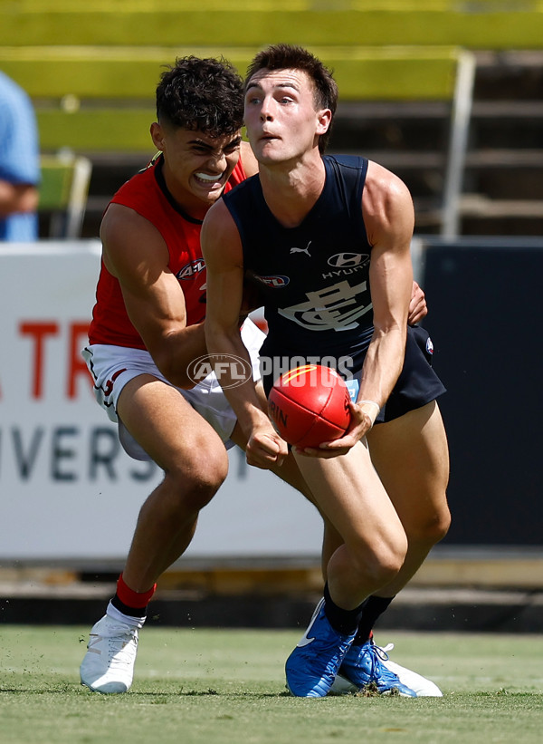 AFL 2025 Match Simulation - Carlton v St Kilda - A-57551897