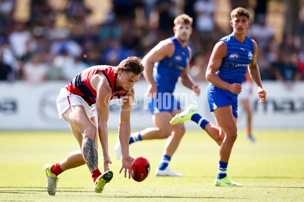 AFL 2025 Match Simulation - North Melbourne v Melbourne - A-57551900