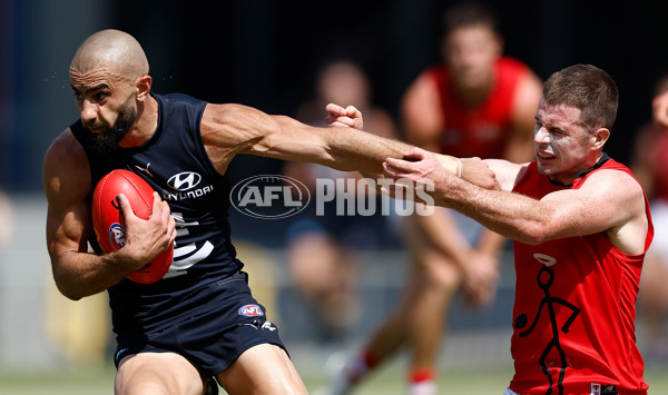 AFL 2025 Match Simulation - Carlton v St Kilda - A-57551902