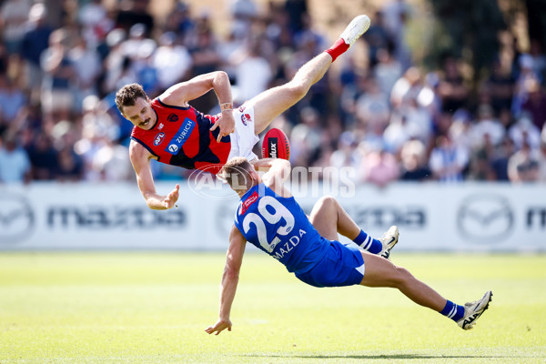AFL 2025 Match Simulation - North Melbourne v Melbourne - A-57551912