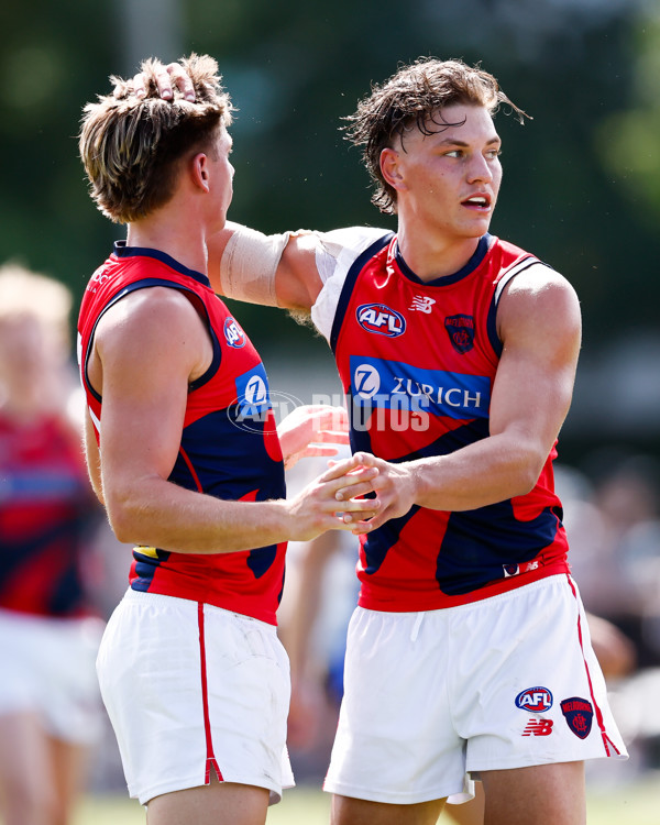 AFL 2025 Match Simulation - North Melbourne v Melbourne - A-57551918