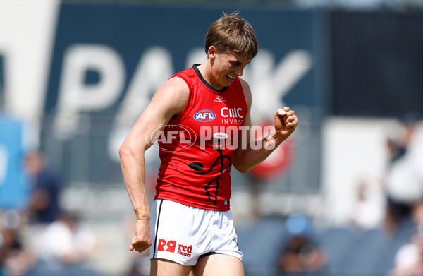 AFL 2025 Match Simulation - Carlton v St Kilda - A-57552128