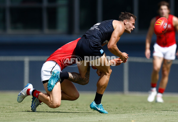 AFL 2025 Match Simulation - Carlton v St Kilda - A-57552132