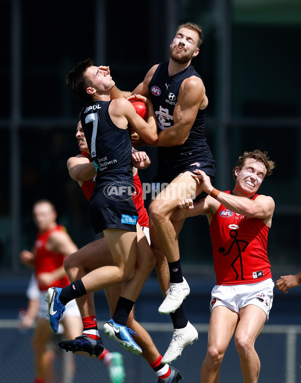 AFL 2025 Match Simulation - Carlton v St Kilda - A-57552135