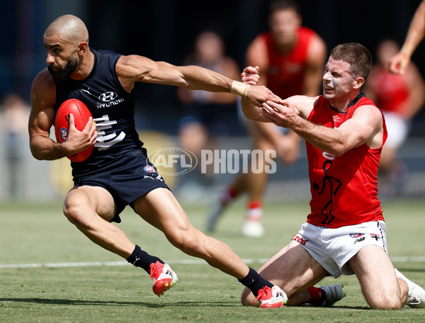 AFL 2025 Match Simulation - Carlton v St Kilda - A-57552139