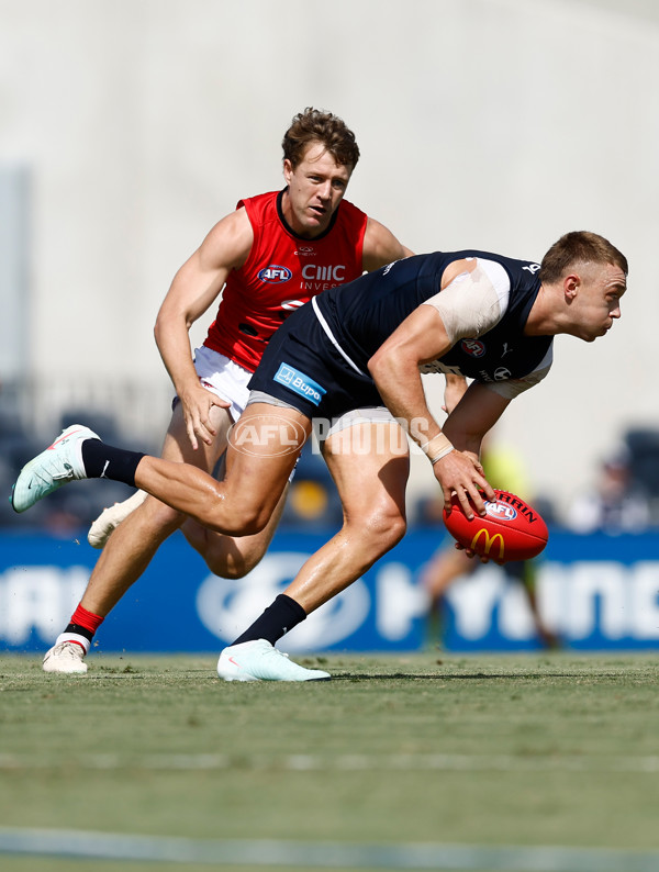 AFL 2025 Match Simulation - Carlton v St Kilda - A-57552140