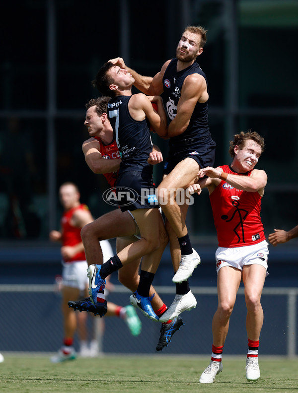 AFL 2025 Match Simulation - Carlton v St Kilda - A-57552143