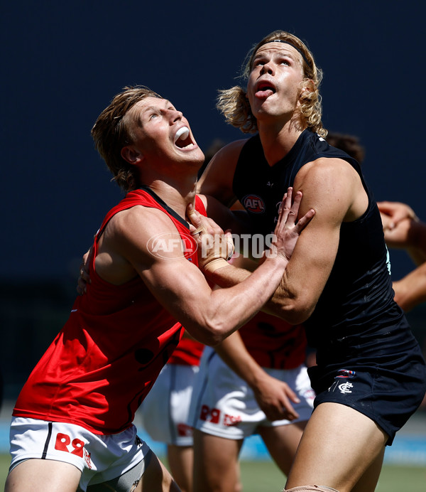 AFL 2025 Match Simulation - Carlton v St Kilda - A-57552148