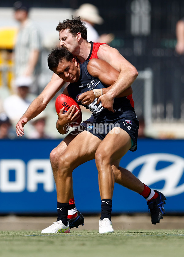 AFL 2025 Match Simulation - Carlton v St Kilda - A-57552151