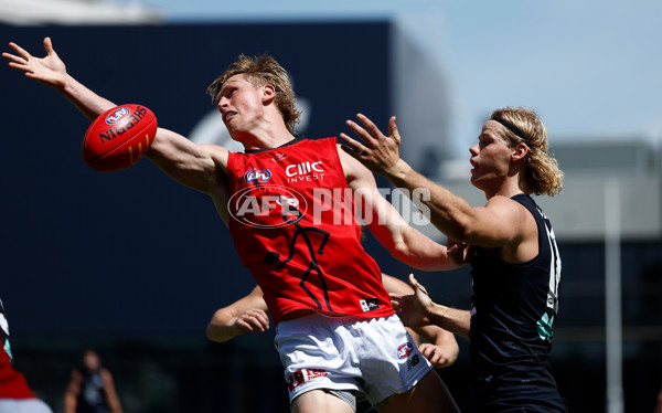 AFL 2025 Match Simulation - Carlton v St Kilda - A-57552153