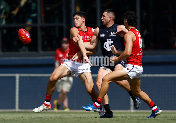 AFL 2025 Match Simulation - Carlton v St Kilda - A-57552156