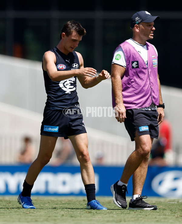 AFL 2025 Match Simulation - Carlton v St Kilda - A-57552159