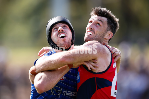AFL 2025 Match Simulation - North Melbourne v Melbourne - A-57552161