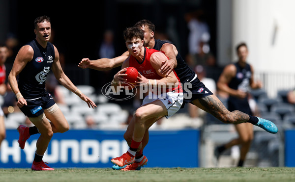 AFL 2025 Match Simulation - Carlton v St Kilda - A-57552164