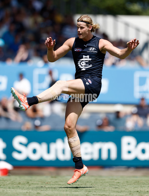 AFL 2025 Match Simulation - Carlton v St Kilda - A-57552165