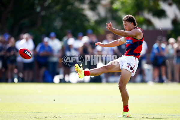 AFL 2025 Match Simulation - North Melbourne v Melbourne - A-57552167