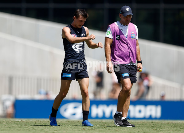 AFL 2025 Match Simulation - Carlton v St Kilda - A-57552169