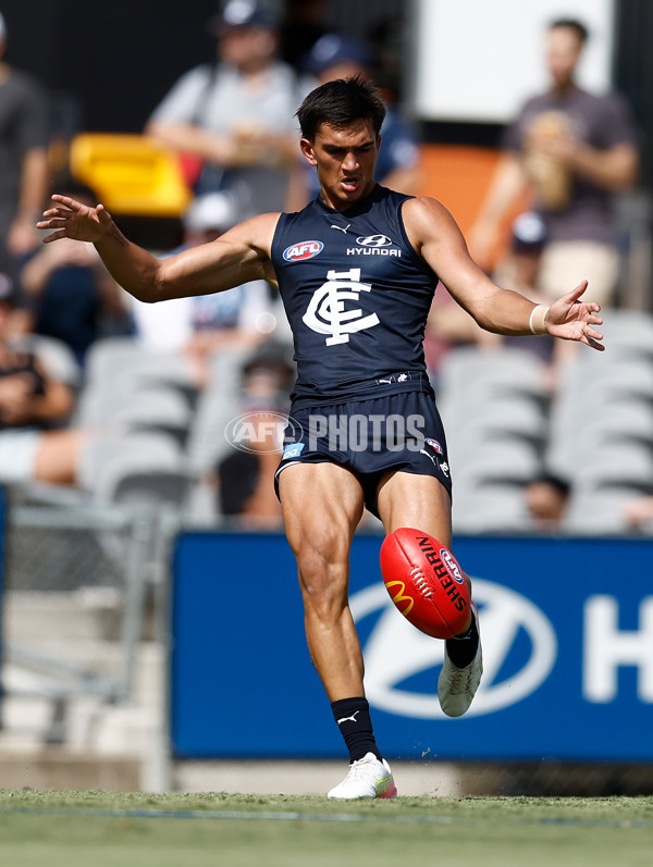 AFL 2025 Match Simulation - Carlton v St Kilda - A-57552174