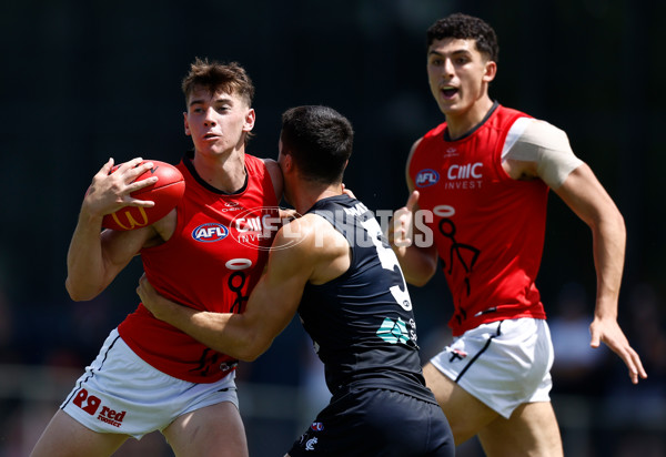 AFL 2025 Match Simulation - Carlton v St Kilda - A-57552180