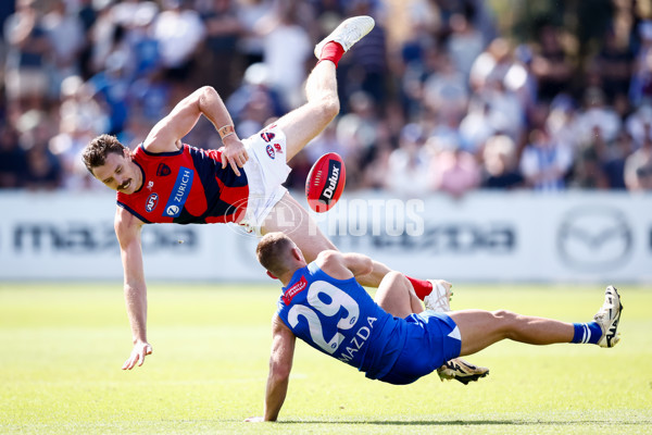 AFL 2025 Match Simulation - North Melbourne v Melbourne - A-57552181