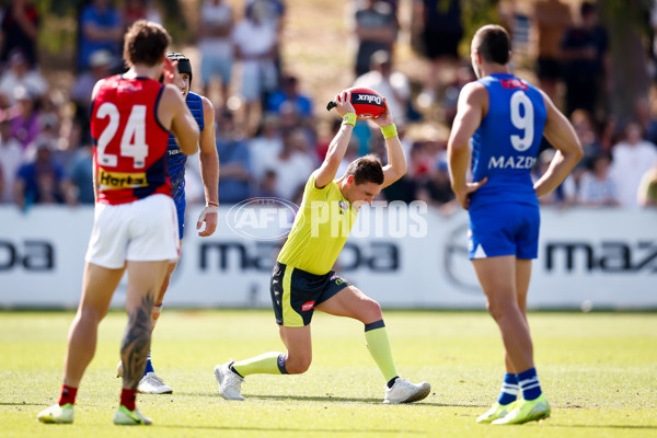 AFL 2025 Match Simulation - North Melbourne v Melbourne - A-57552183