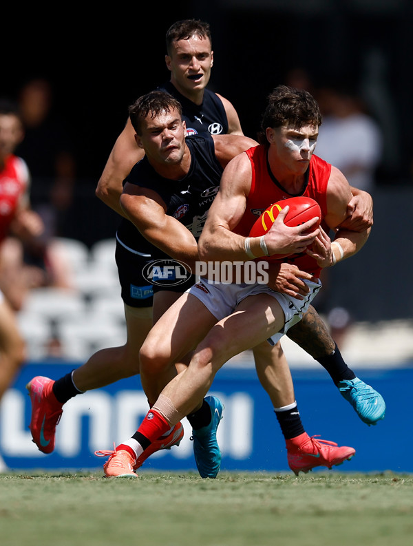 AFL 2025 Match Simulation - Carlton v St Kilda - A-57552186