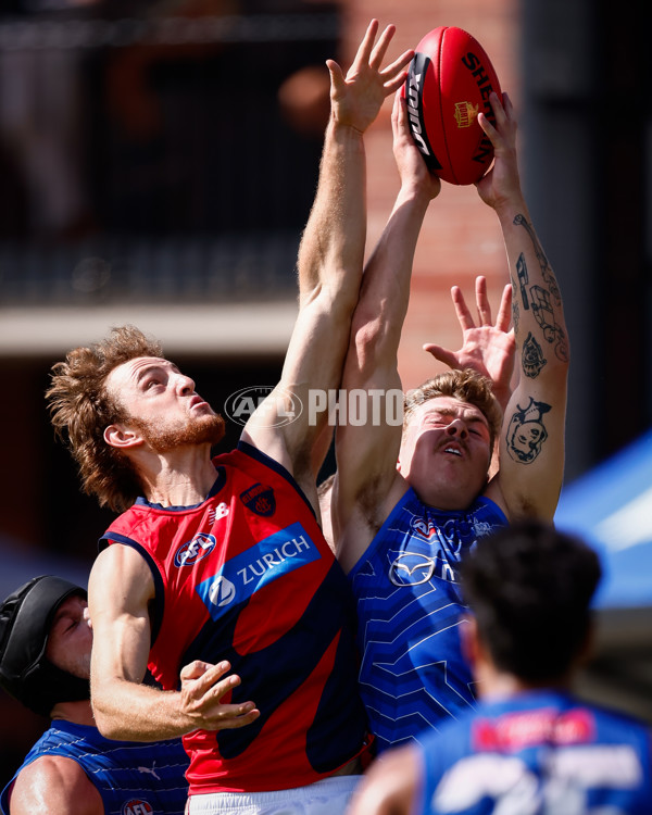 AFL 2025 Match Simulation - North Melbourne v Melbourne - A-57552187