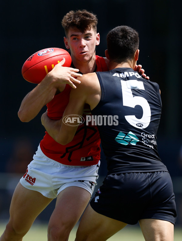 AFL 2025 Match Simulation - Carlton v St Kilda - A-57552196