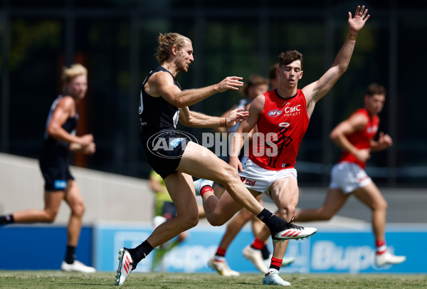 AFL 2025 Match Simulation - Carlton v St Kilda - A-57552199