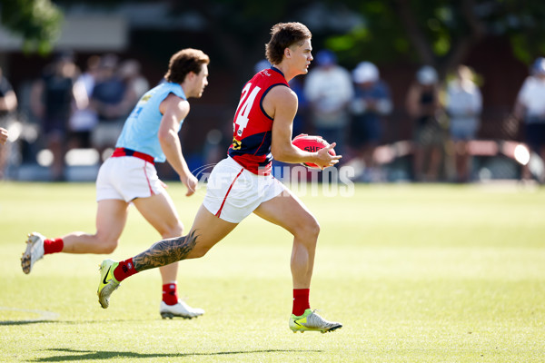 AFL 2025 Match Simulation - North Melbourne v Melbourne - A-57552214