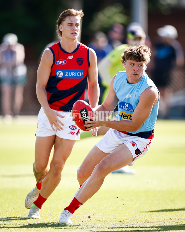 AFL 2025 Match Simulation - North Melbourne v Melbourne - A-57552216