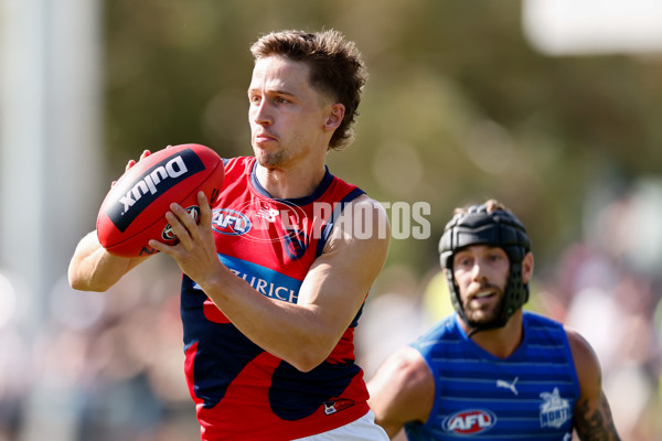 AFL 2025 Match Simulation - North Melbourne v Melbourne - A-57552218