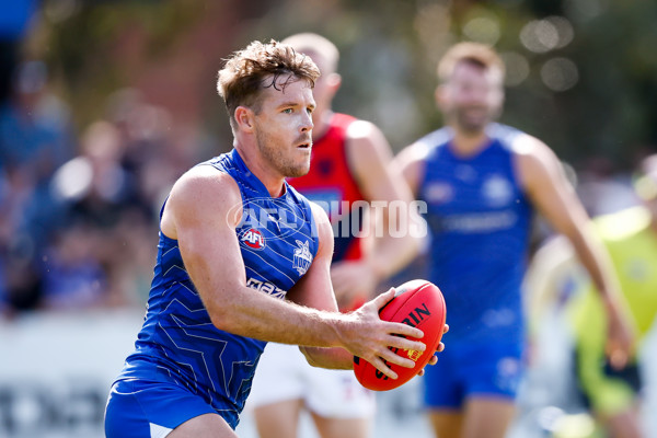 AFL 2025 Match Simulation - North Melbourne v Melbourne - A-57552632