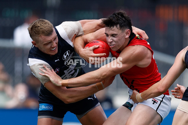 AFL 2025 Match Simulation - Carlton v St Kilda - A-57552638