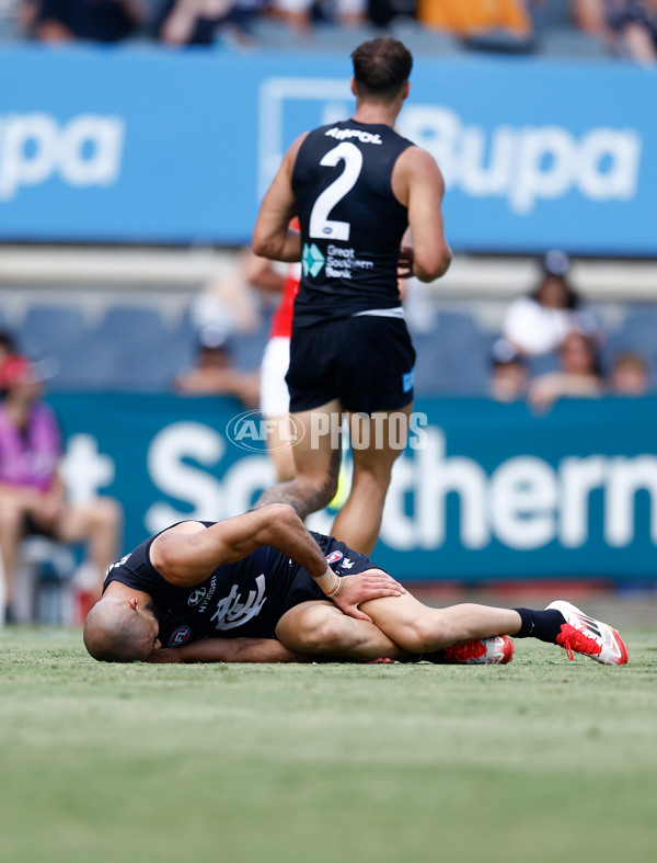 AFL 2025 Match Simulation - Carlton v St Kilda - A-57552641