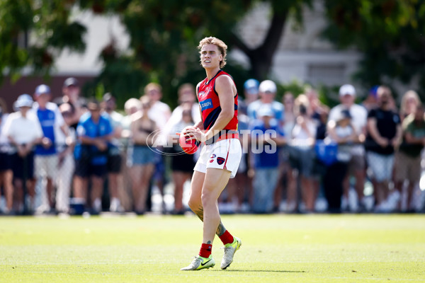 AFL 2025 Match Simulation - North Melbourne v Melbourne - A-57552666