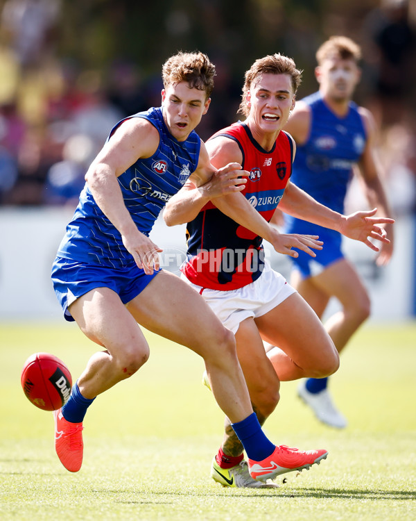 AFL 2025 Match Simulation - North Melbourne v Melbourne - A-57552667