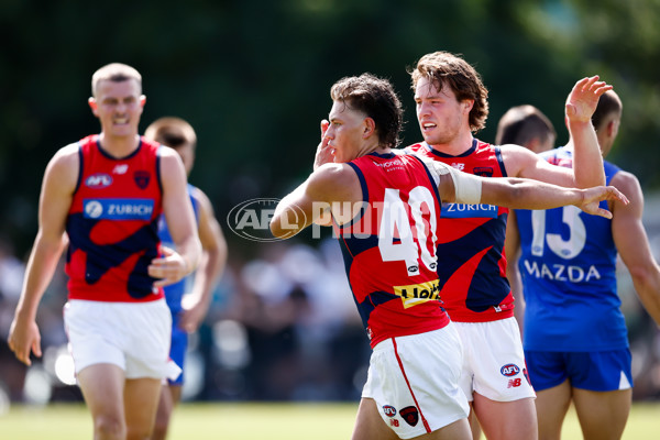 AFL 2025 Match Simulation - North Melbourne v Melbourne - A-57552668