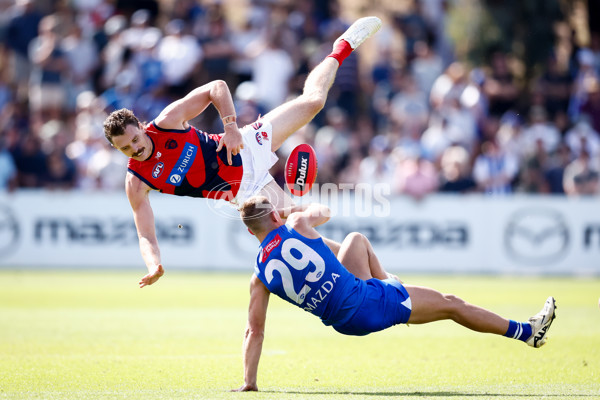 AFL 2025 Match Simulation - North Melbourne v Melbourne - A-57552678